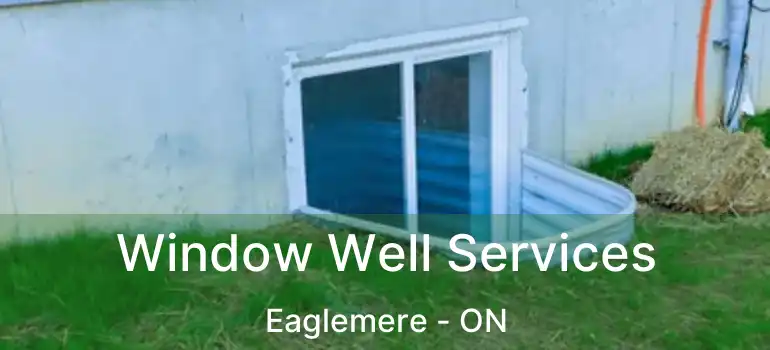  Window Well Services Eaglemere - ON