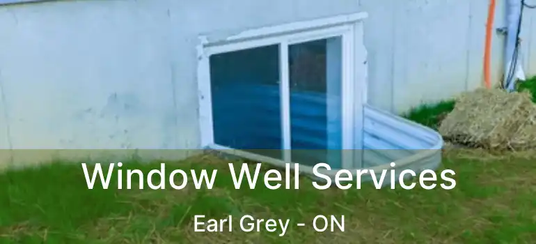  Window Well Services Earl Grey - ON