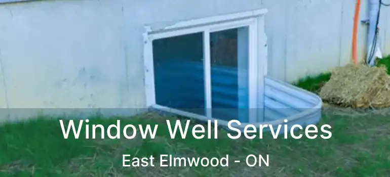  Window Well Services East Elmwood - ON