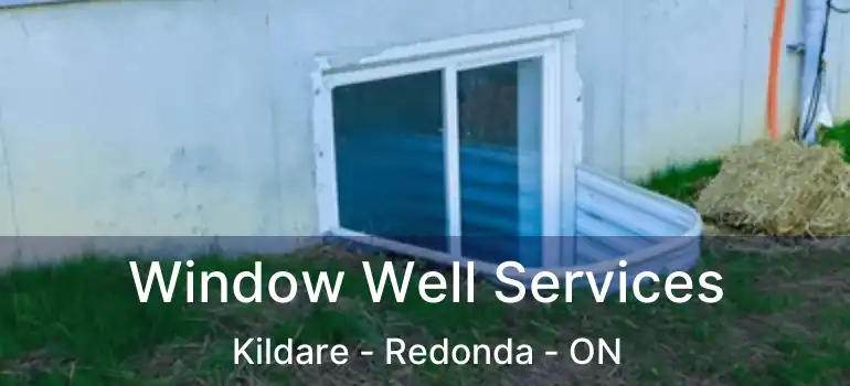  Window Well Services Kildare - Redonda - ON
