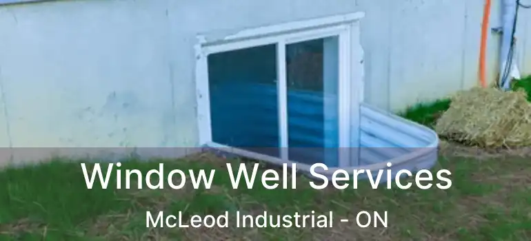  Window Well Services McLeod Industrial - ON