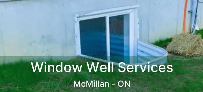 Window Well Services McMillan - ON