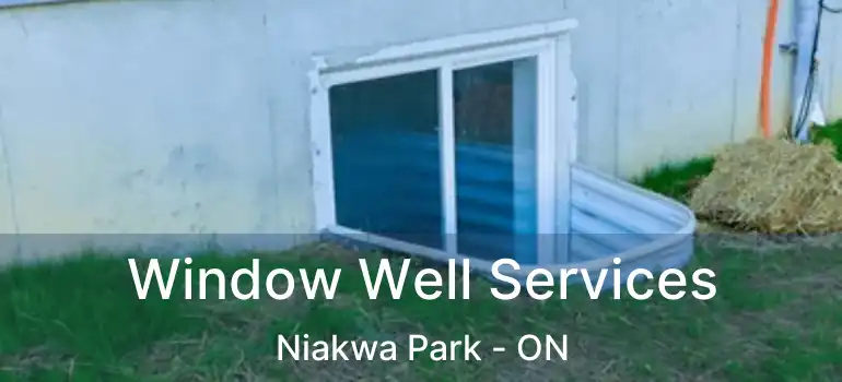  Window Well Services Niakwa Park - ON