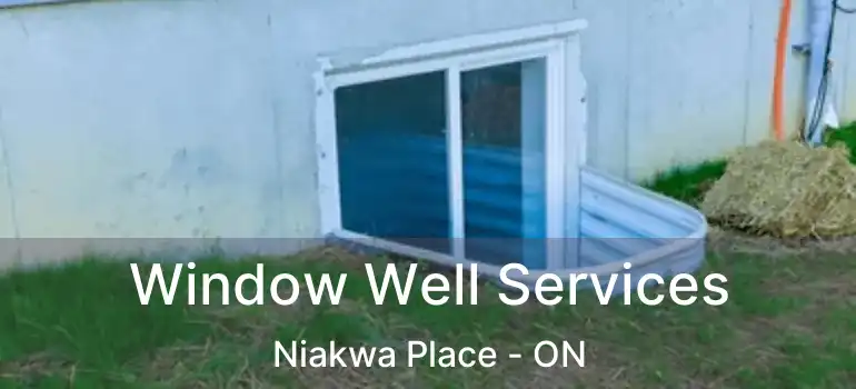  Window Well Services Niakwa Place - ON