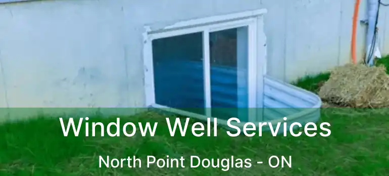  Window Well Services North Point Douglas - ON