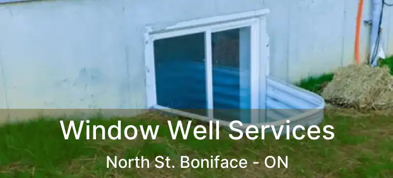  Window Well Services North St. Boniface - ON