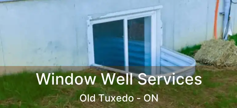  Window Well Services Old Tuxedo - ON