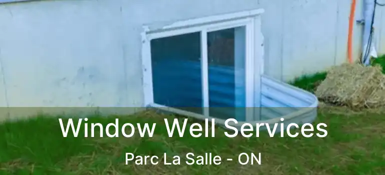  Window Well Services Parc La Salle - ON