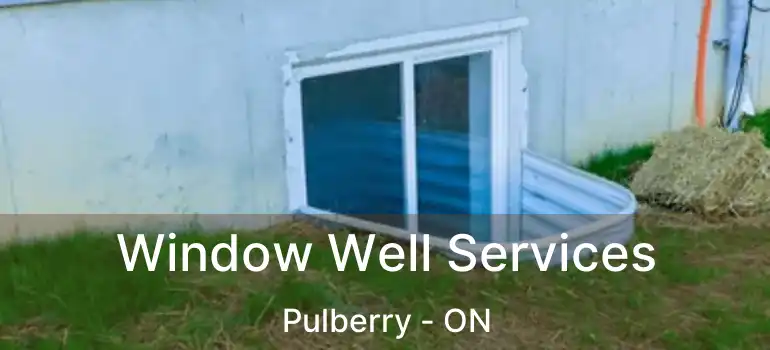  Window Well Services Pulberry - ON
