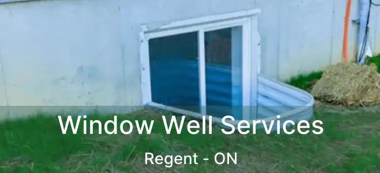 Window Well Services Regent - ON