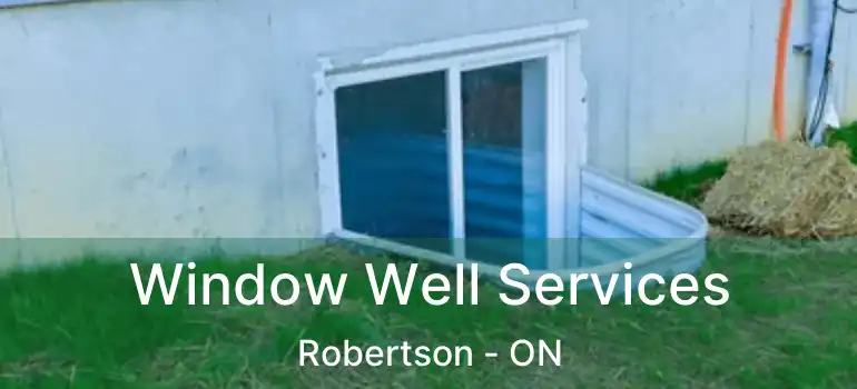  Window Well Services Robertson - ON
