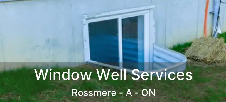  Window Well Services Rossmere - A - ON