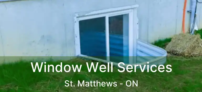  Window Well Services St. Matthews - ON