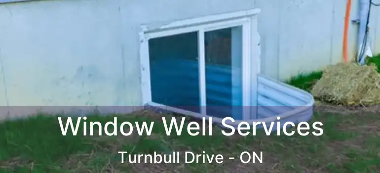 Window Well Services Turnbull Drive - ON