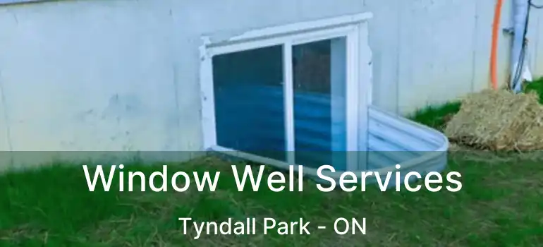  Window Well Services Tyndall Park - ON