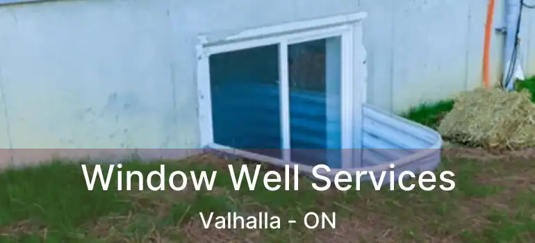  Window Well Services Valhalla - ON