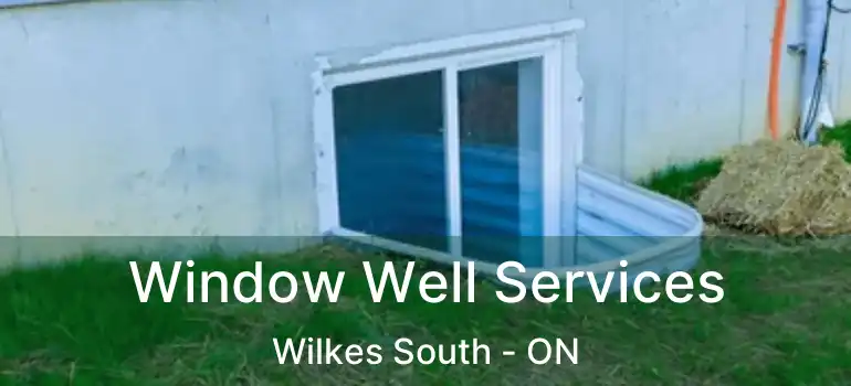  Window Well Services Wilkes South - ON