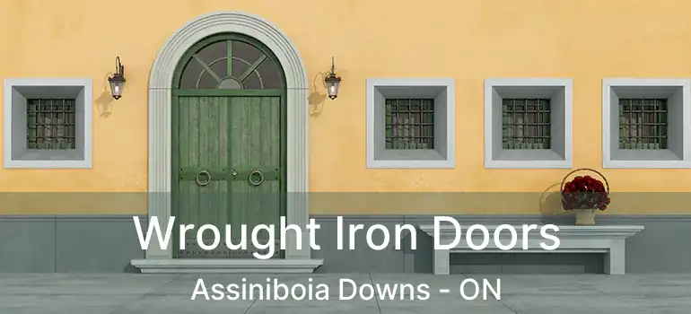  Wrought Iron Doors Assiniboia Downs - ON