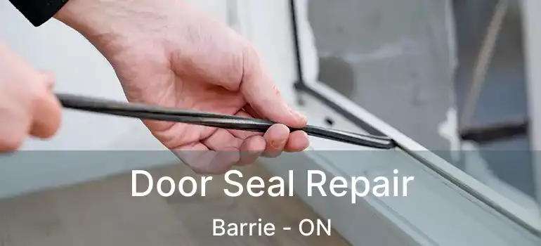 Door Seal Repair Barrie - ON